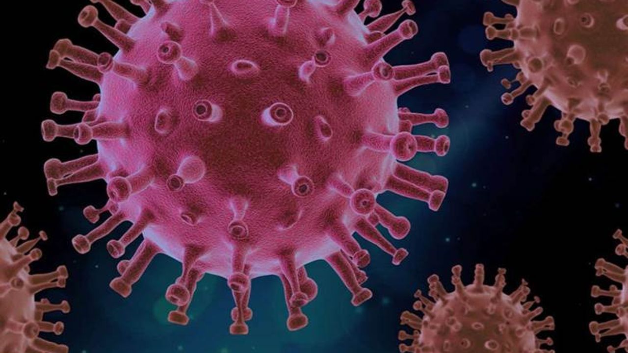 Çin'in gizemli virüsü pnömoni virüs nedir? Pnömoni virüs belirtileri neler? Pnömoni virüsü Türkiye'de gördüldü mü? Pnömoni virüs öldürücü mü?