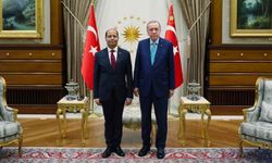 Mısır'ın Ankara Büyükelçisi Hamami, Erdoğan'a güven mektubu sundu