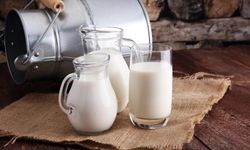 Hangi sütü tüketmeliyiz? Uzmanı açıkladı: Keçi ya da inek sütünü ihtiyacınıza göre seçin