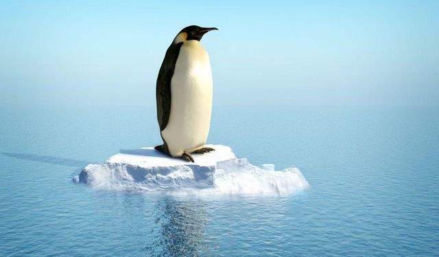 Antarktika son on yılda iki kat ısındı: Deniz seviyeleri için 'alarm' verildi