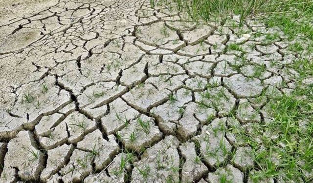 Güncel iklim araştırması sonuçları açıklandı