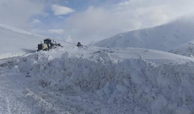 Erzurum ve Tunceli'de kar nedeniyle 96 yerleşim yerine ulaşım sağlanamıyor