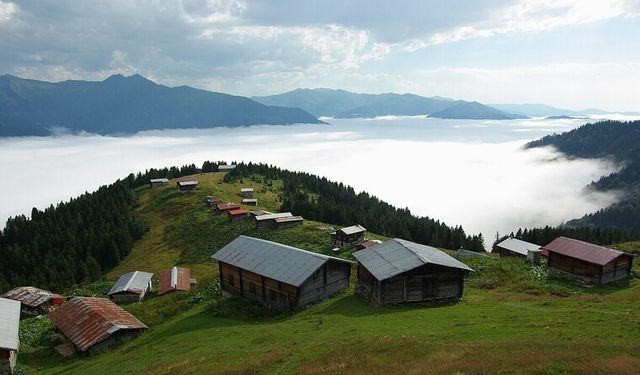 Rize'nin eşsiz manzaralara sahip 5 doğal yaylası