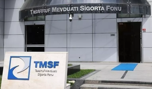 TMSF, bir şirketi daha satışa çıkardı