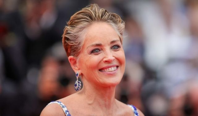 Hollywood yıldızı Sharon Stone aşkı arıyor: İnternette de şansını denemiş