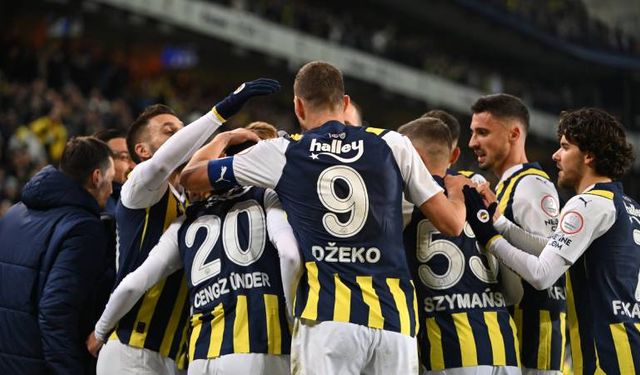 Fenerbahçe 2-1 MKE Ankaragücü (Maç sonucu)