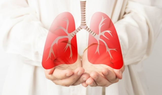 Akciğer zarı kanserinde hayatta kalma oranını dört kat artıran tedavi