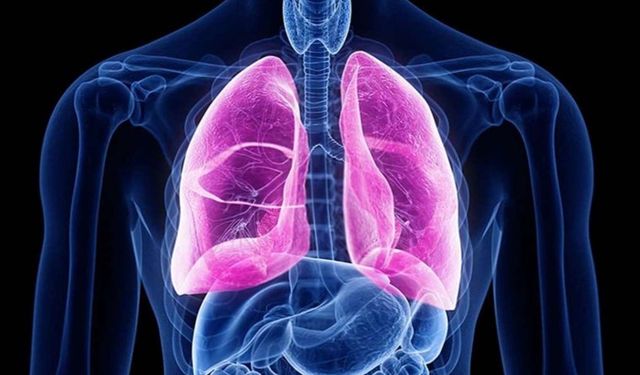 Uzmanlar açıkladı: 'Akciğer kanserlerinin yüzde 90’ının sebebi sigara'