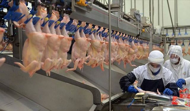 5 ayda yüzde 200 zamlanan beyaz ete ihracat yasağı geliyor