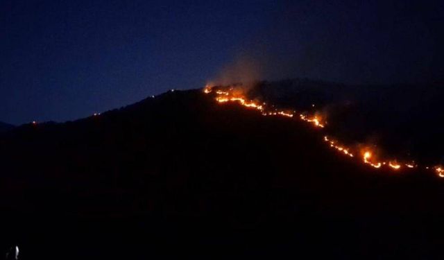 Manisa'da orman yangını 13 saat sonunda kontrol altına alındı