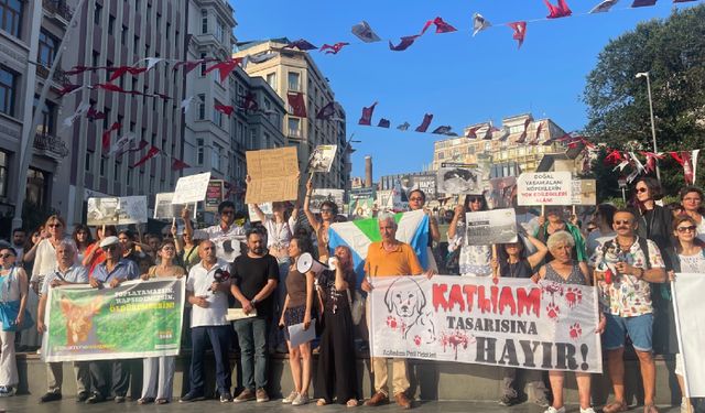 İstanbul'da sokak hayvanları yasası protestosu: Bu kanlı yasa teklifini reddediyoruz