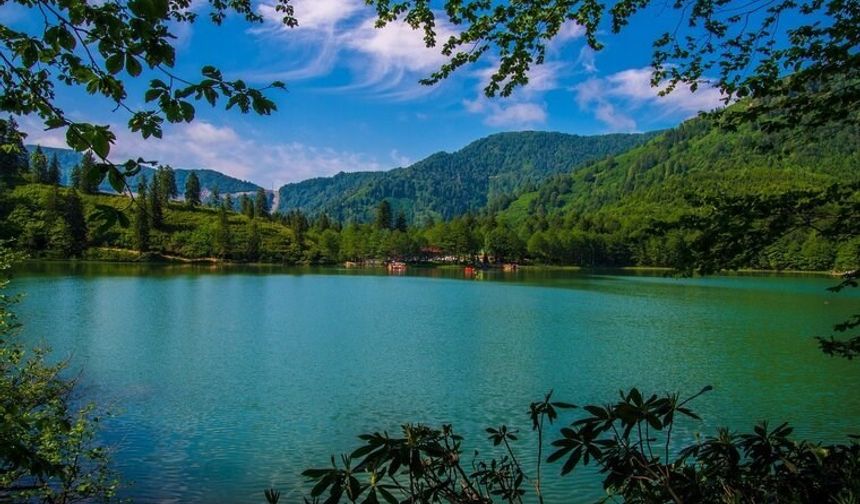 Doğanın kalbinde keşif: Artvin'in büyüleyici güzellikleri